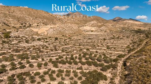 Parcela Rústica de  33778m2, con vistas a las montañas., immagine 2