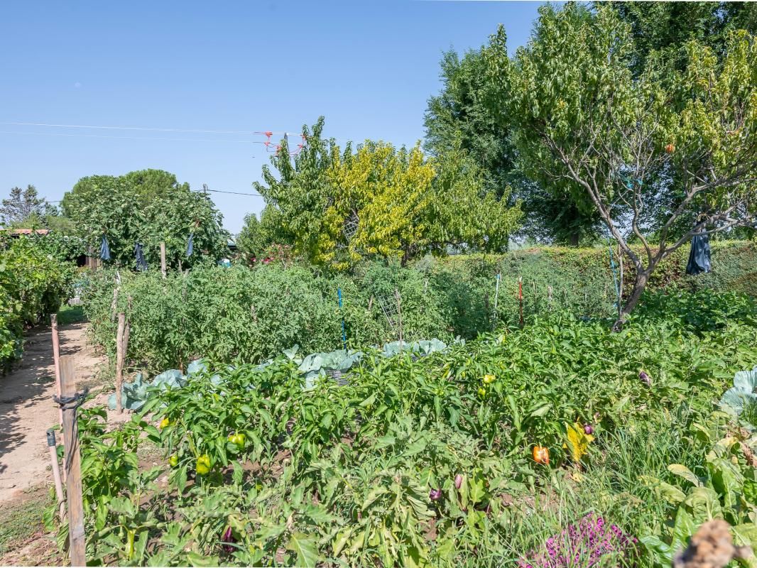 House or chalet for sale in Cam. Viejo del Casar, 222, Fuente El Saz de Jarama