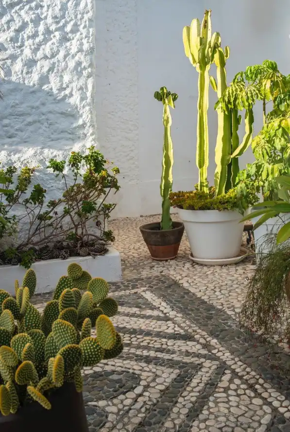 Maison mitoyenne à vendre à Calle de la Gaviota 105, imagen 25