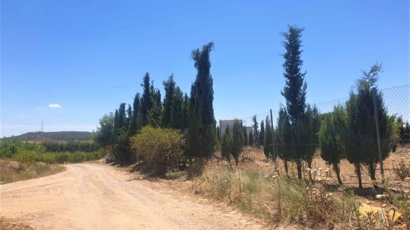 Industrial buildings for sale in TEJARES PG 9 PC 112, -1, Fuentealbilla