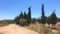 Industrial buildings for sale in TEJARES PG 9 PC 112, -1, Fuentealbilla, imagen 2