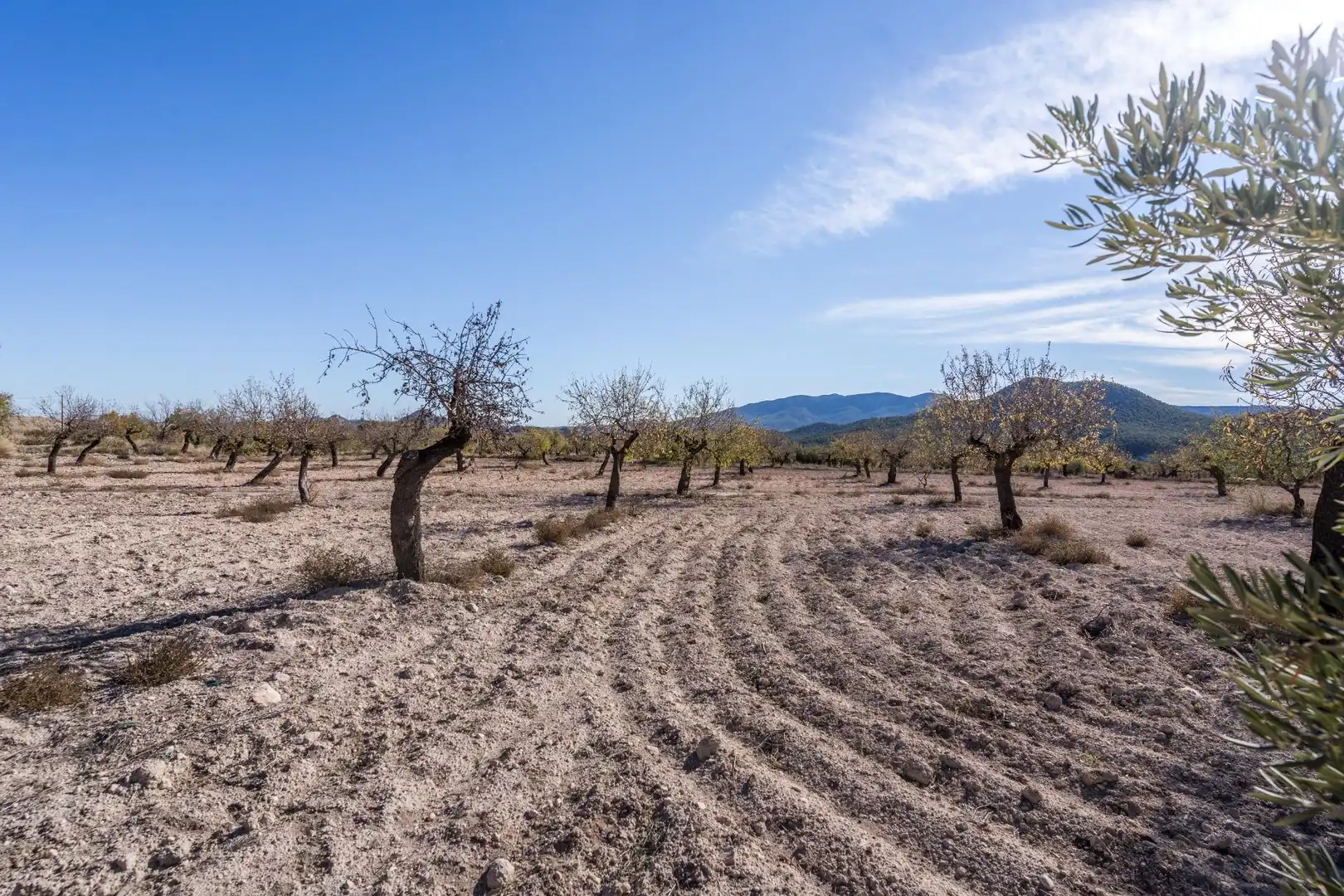 Finca rústica en venta en Vélez-Rubio con Calefacción, Jardín privado y Trastero
