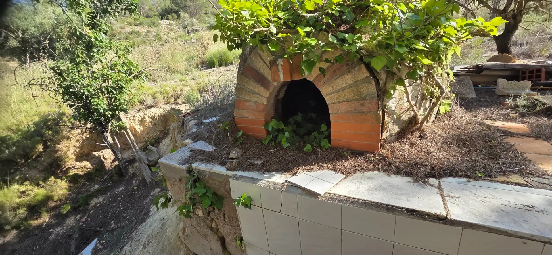 Jardín de Casa o chalet en venta en El Pinós / Pinoso con Piscina