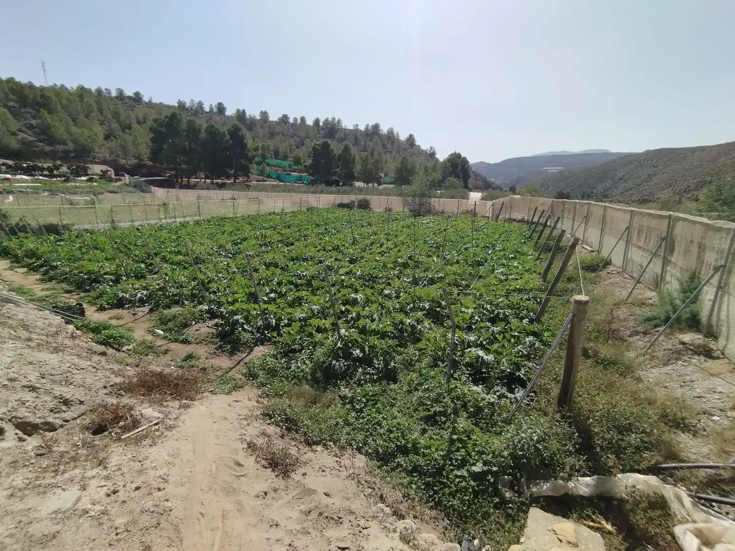 Terreno rustico in vendita a Santa Fe de Mondújar, imagen 30