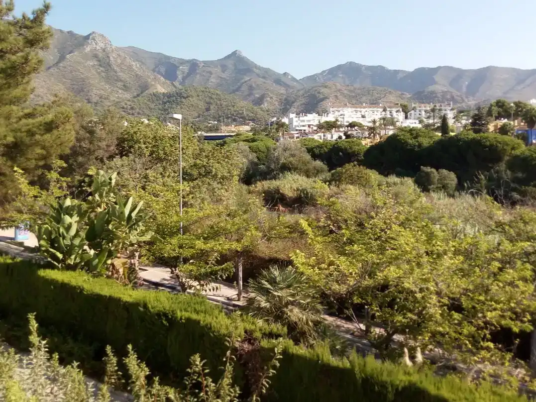 Vista exterior de Casa o chalet en venta en Marbella con Piscina