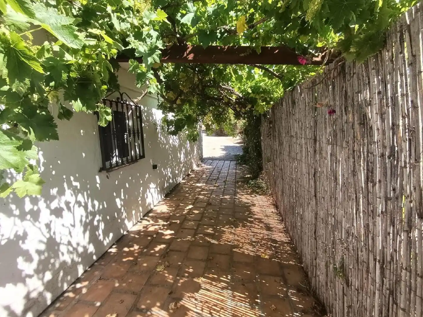 Vista exterior de Casa o chalet en venta en Benamocarra con Jardín privado, Terraza y Trastero