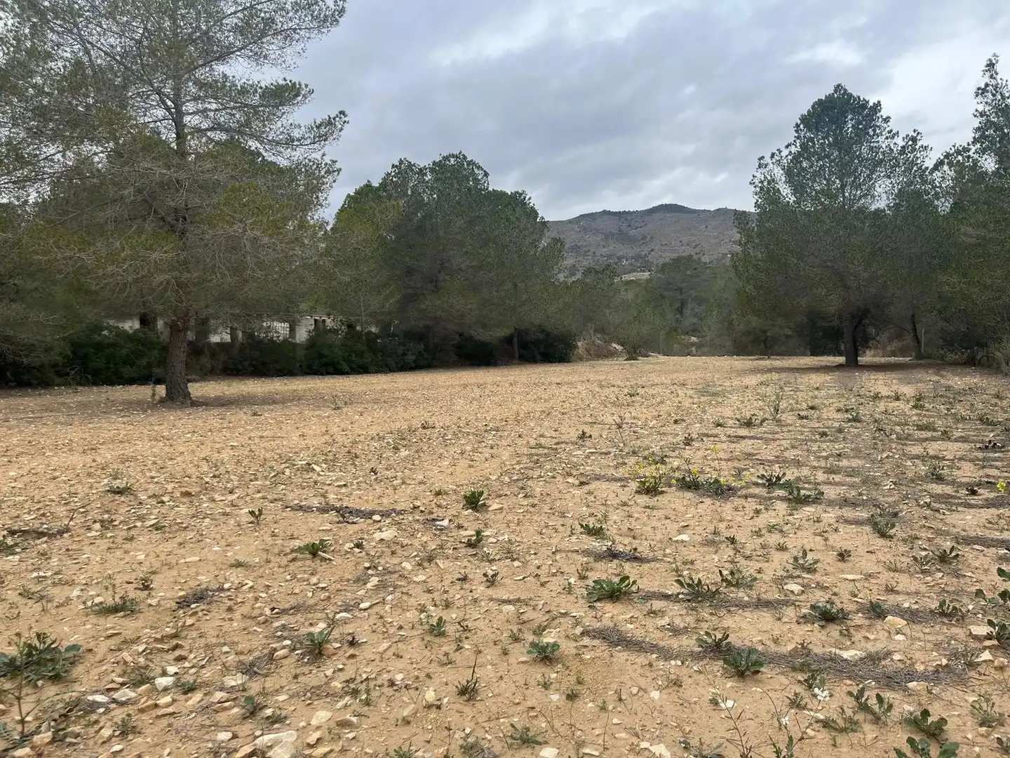 Land for sale in Finestrat