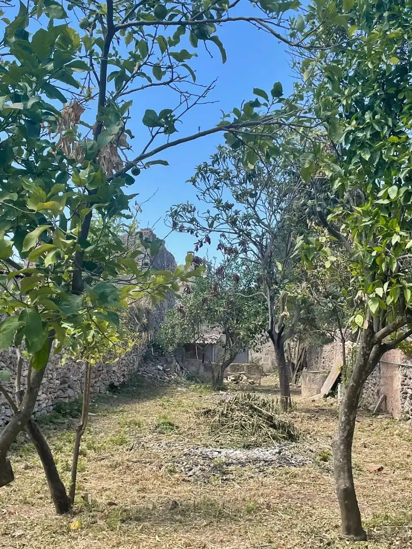 Wohnbaugrundstück zum Verkauf in Sencelles, imagen 18