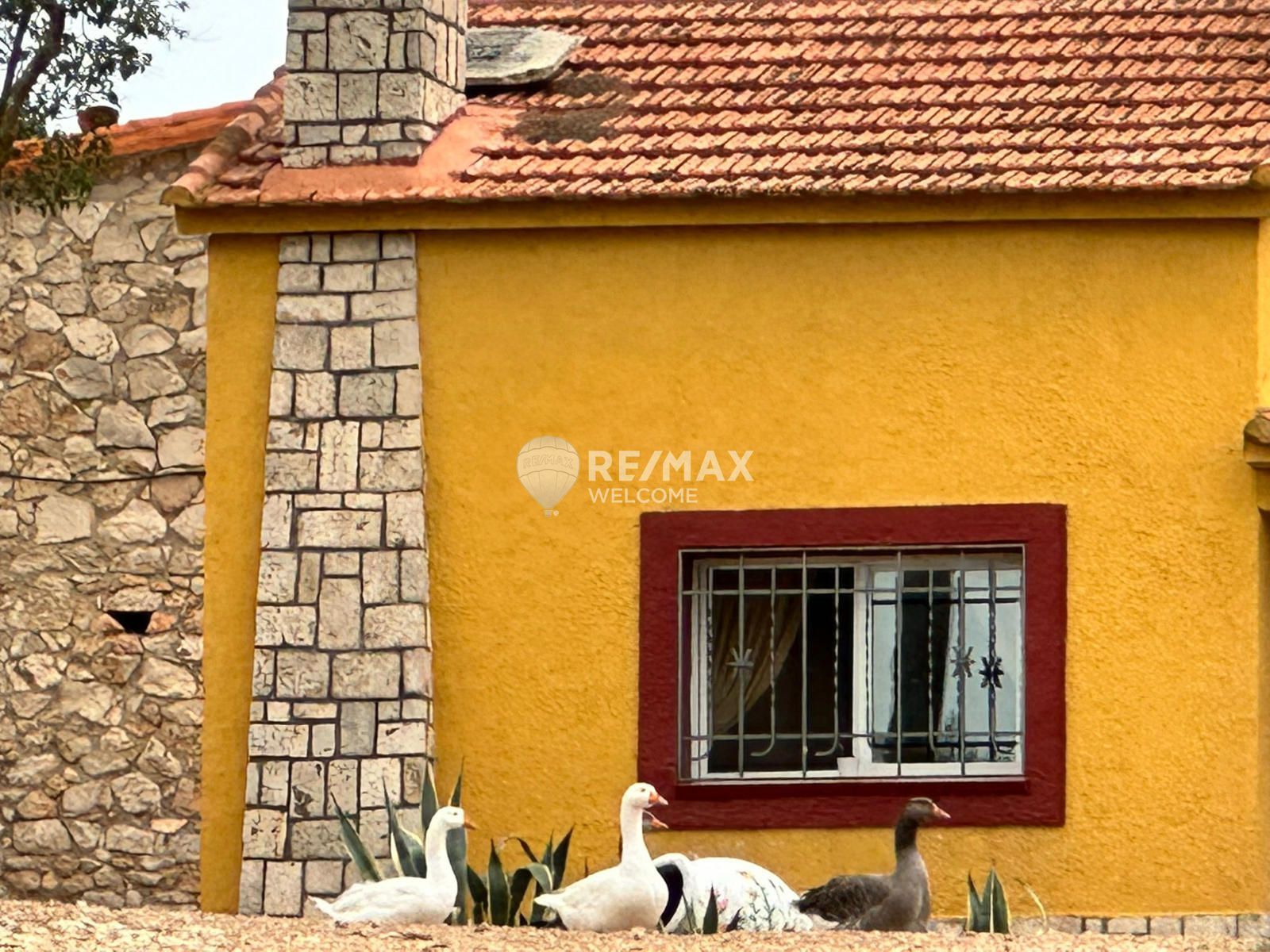 Vista exterior de Casa o xalet en venda en Ambite amb Calefacció, Terrassa i Piscina