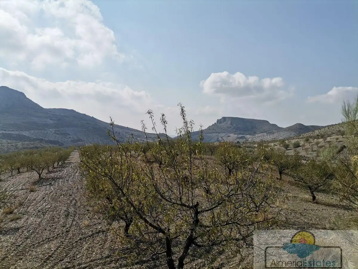 Detached house for sale in Albox, imagen 8