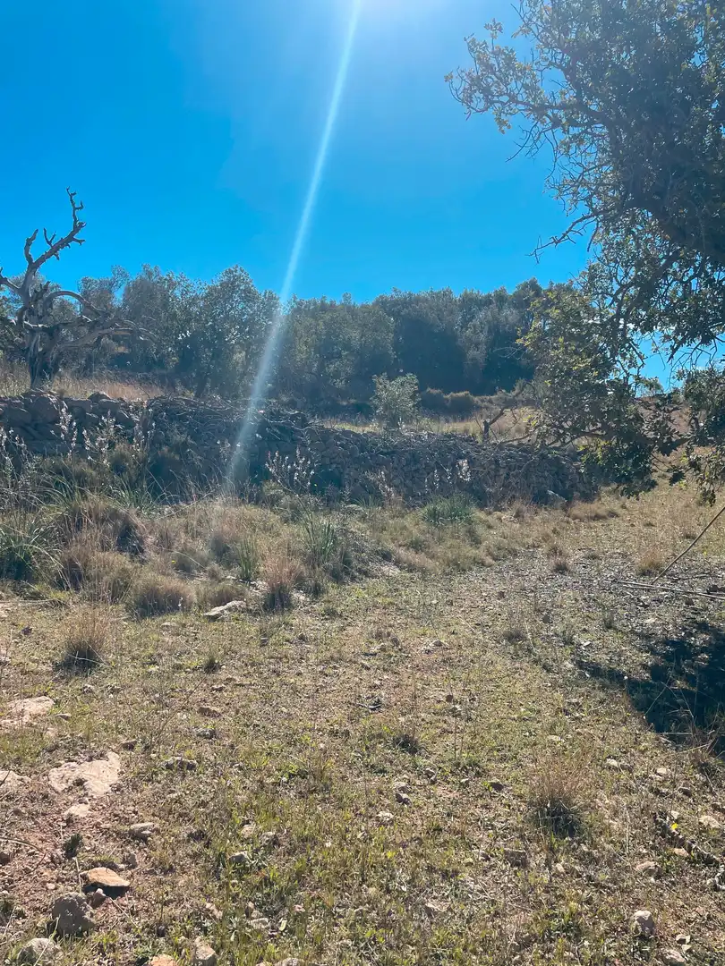 Rural land for sale in Sant Llorenç des Cardassar, imagen 4