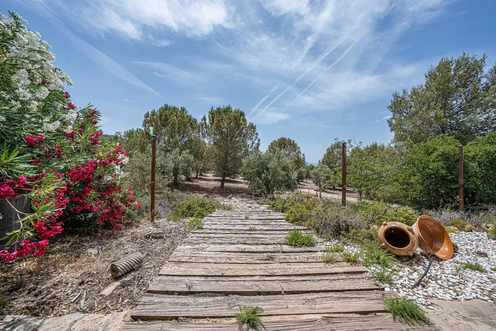 Finca rústica en venda en Biar amb Calefacció, Jardí privat i Terrassa