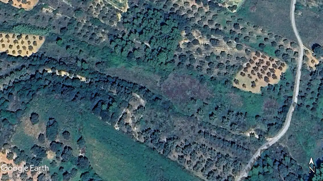 Terreny rústic en venda a La Salzadella, imagen 7