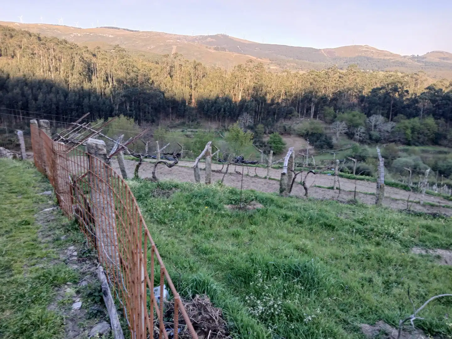 Casa o chalet en venta en As Neves   con Jardín privado