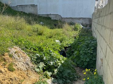 Lands and plots for sale in Medina Sidonia