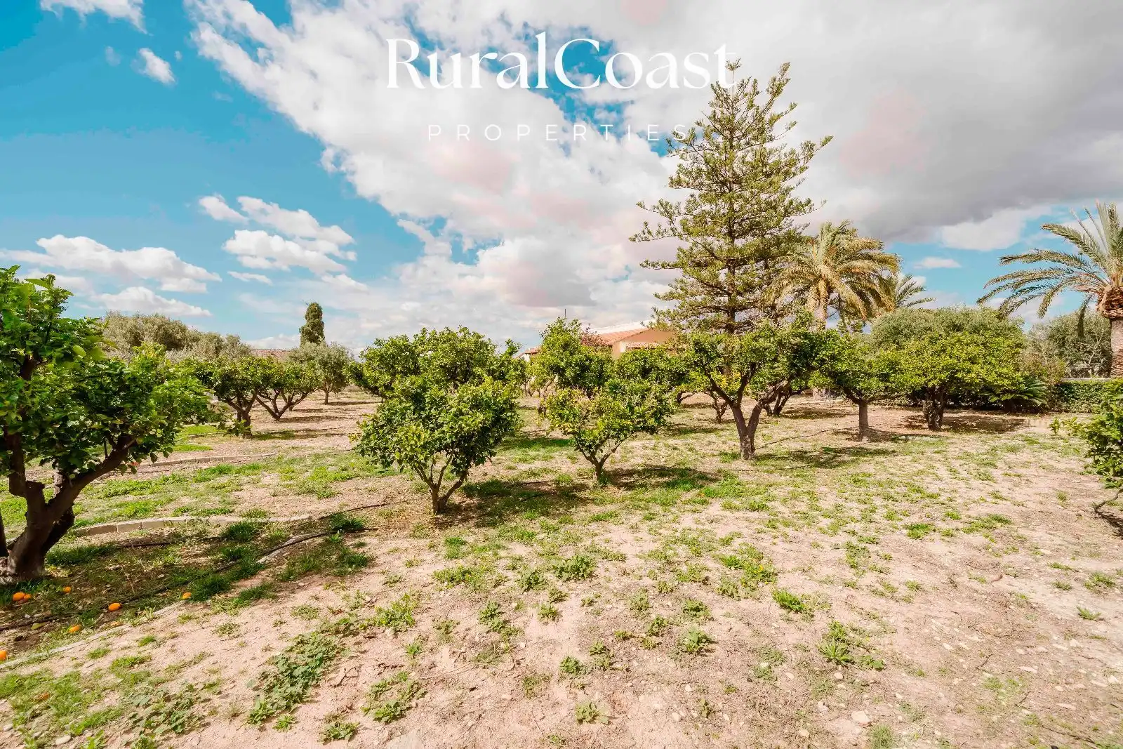 Casa o chalet en venta en JOAN VALLS, Valle del Sol