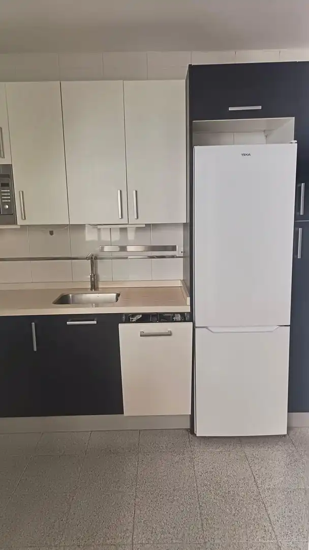 Kitchen of Flat for rent in Granada