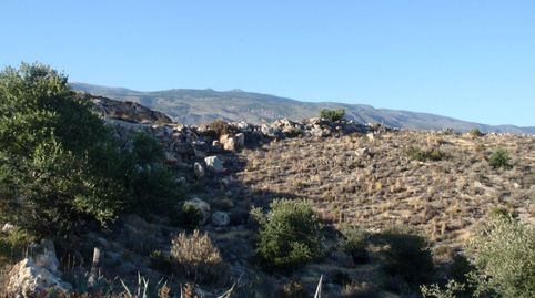 Pintoresco terreno con cortijos a rehabilitar. Desde 6400 m2.