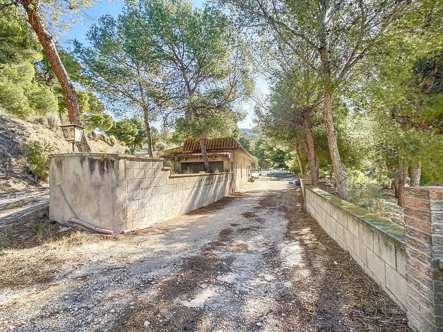 Vista exterior de Finca rústica en venta en Tibi con Jardín privado, Terraza y Trastero