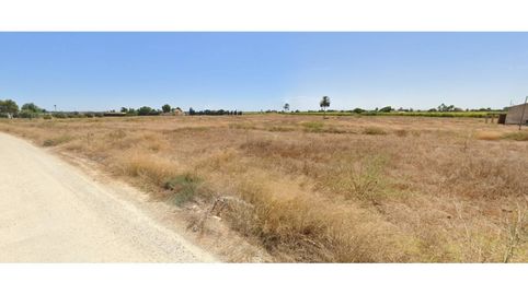 Foto 5 de Residencial en venta en Carretera Santa Pola, Las Bayas, Elche / Elx