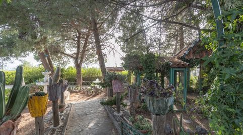 Chalet con Piscina y parcela 7.000 en Alfacar, imagen 4