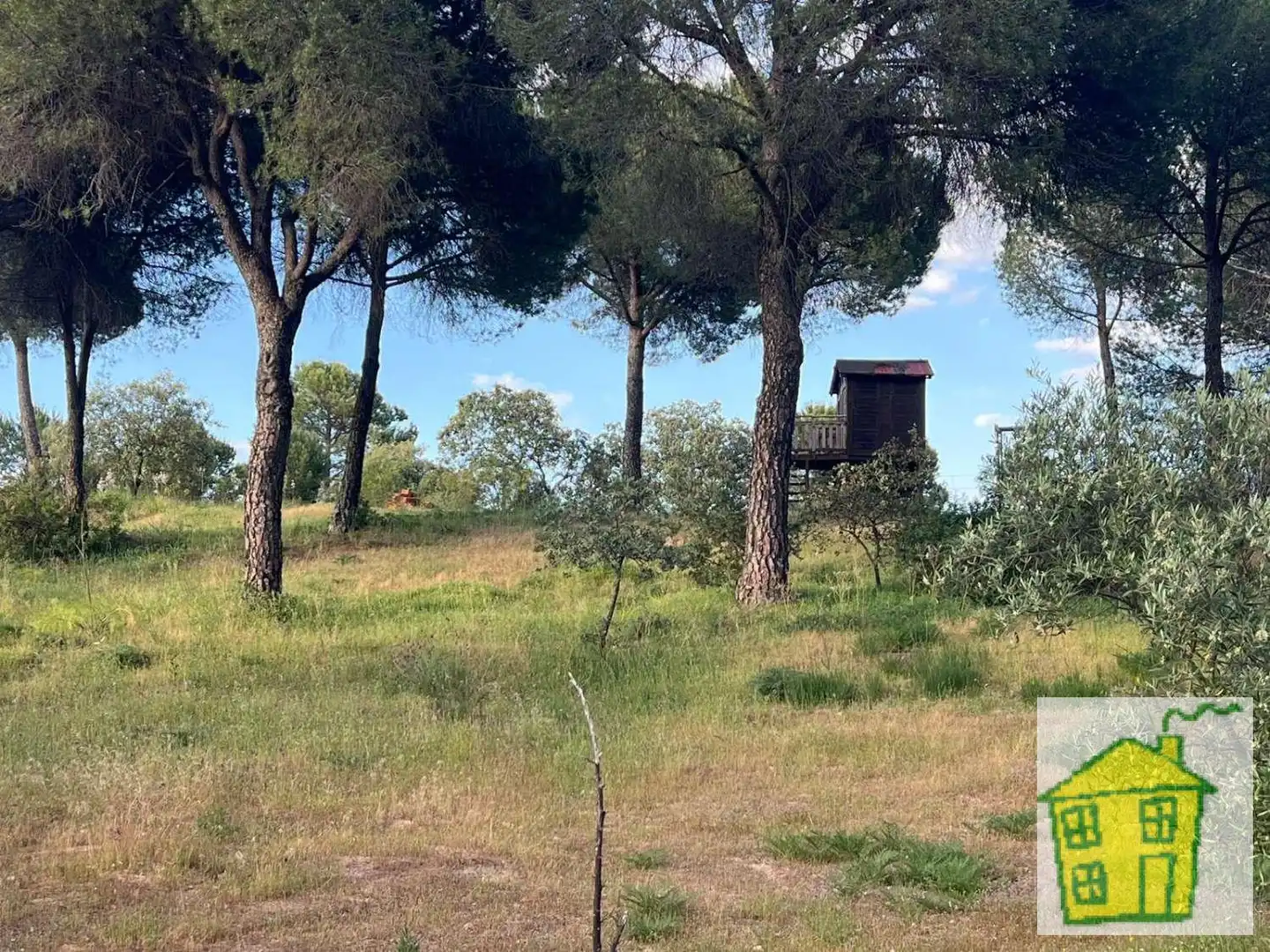 Casa rústica amb piscina en venda a Andújar, imagen 3