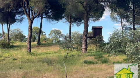 Foto 3 de Finca rústica en venta en N/a, -1, Andújar, Jaén
