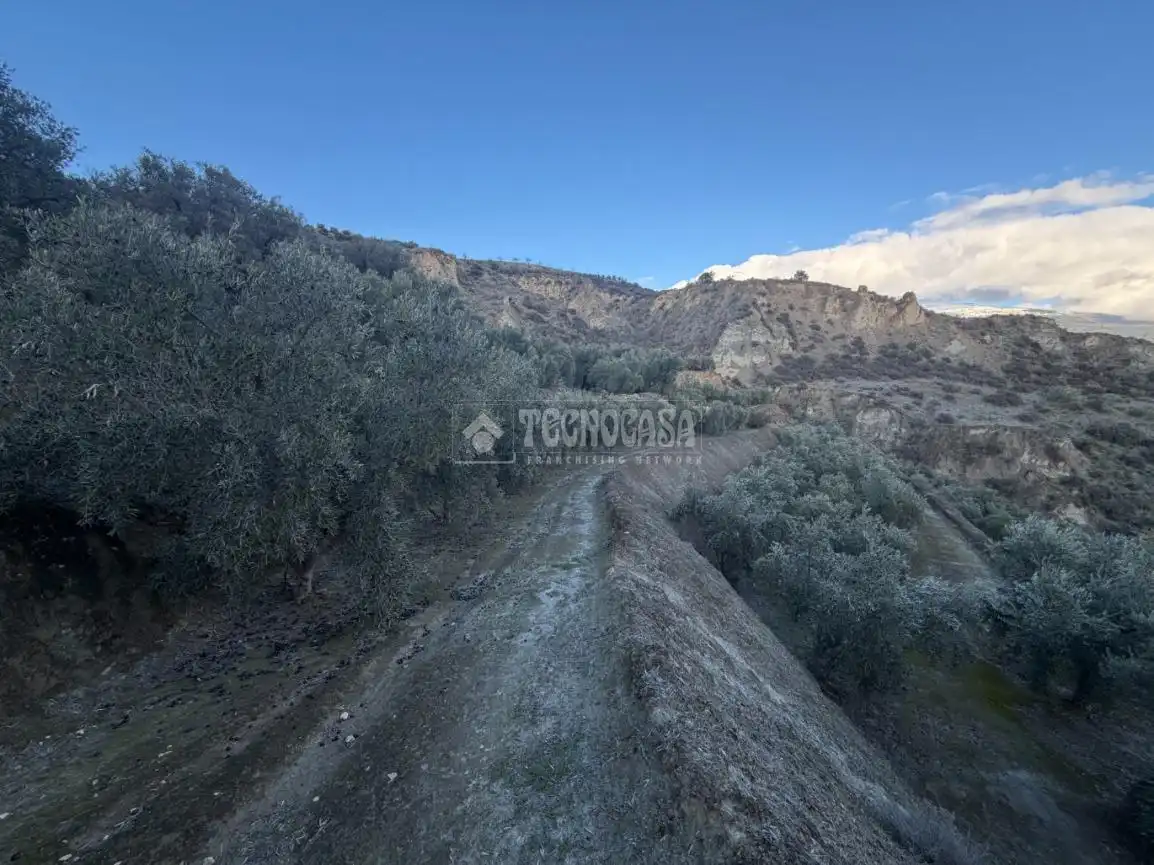 Terreno rustico in vendita a El Valle, imagen 5