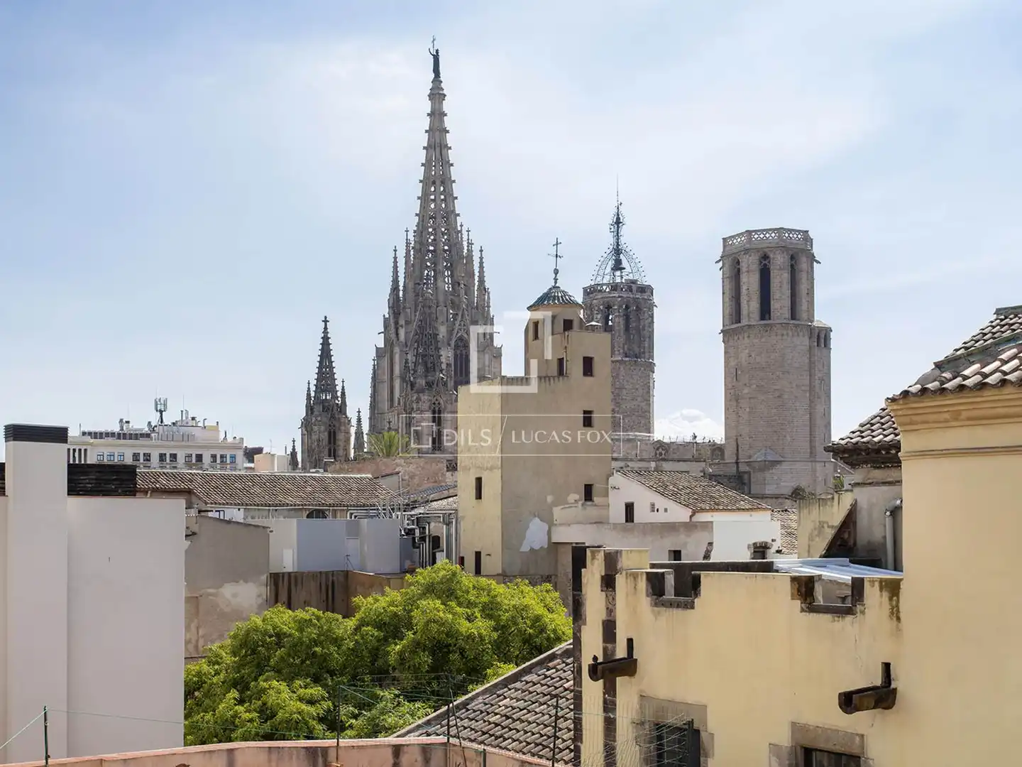 Pis de lloguer a Barcelona, Barcelona