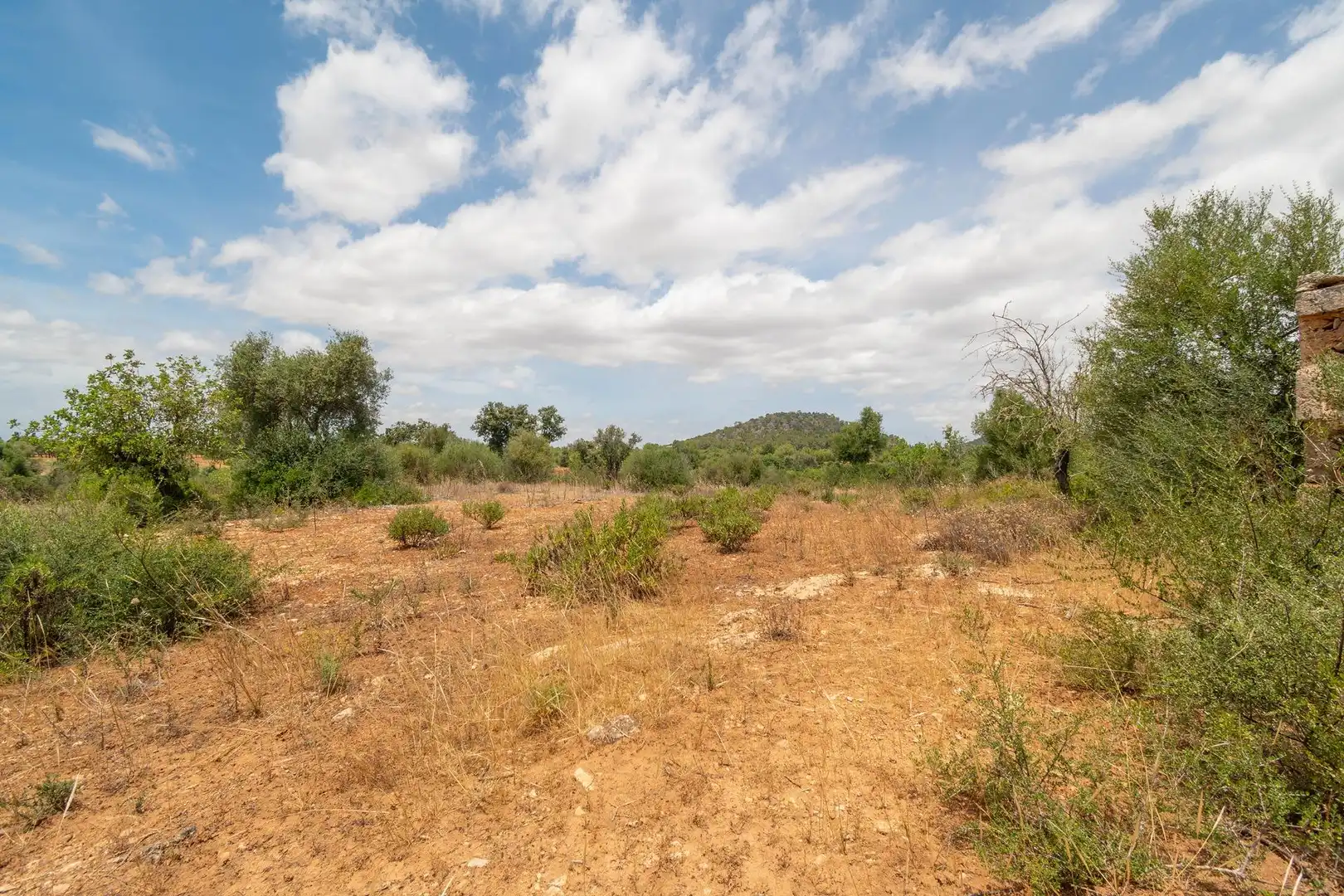 Lands and plots for sale in Felanitx Poble, imagen 17