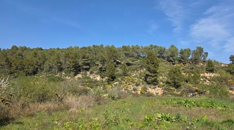 Finca amb aigua, immagine 4