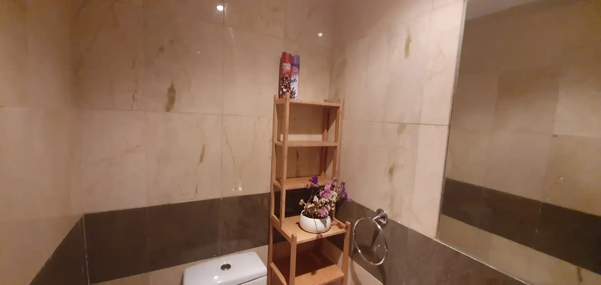 Bathroom of Flat for rent in Santa Cruz de Tenerife  with Private garden, Parquet flooring and Terrace