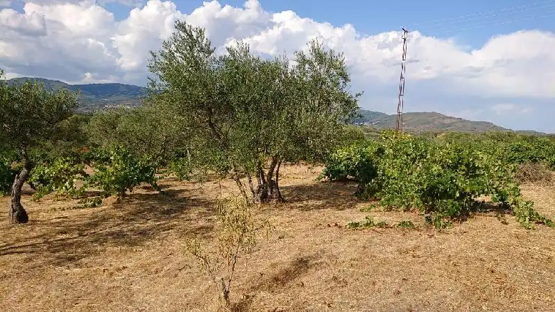Terreni e lotti in vendita a Tejeda de Tiétar, imagen 7