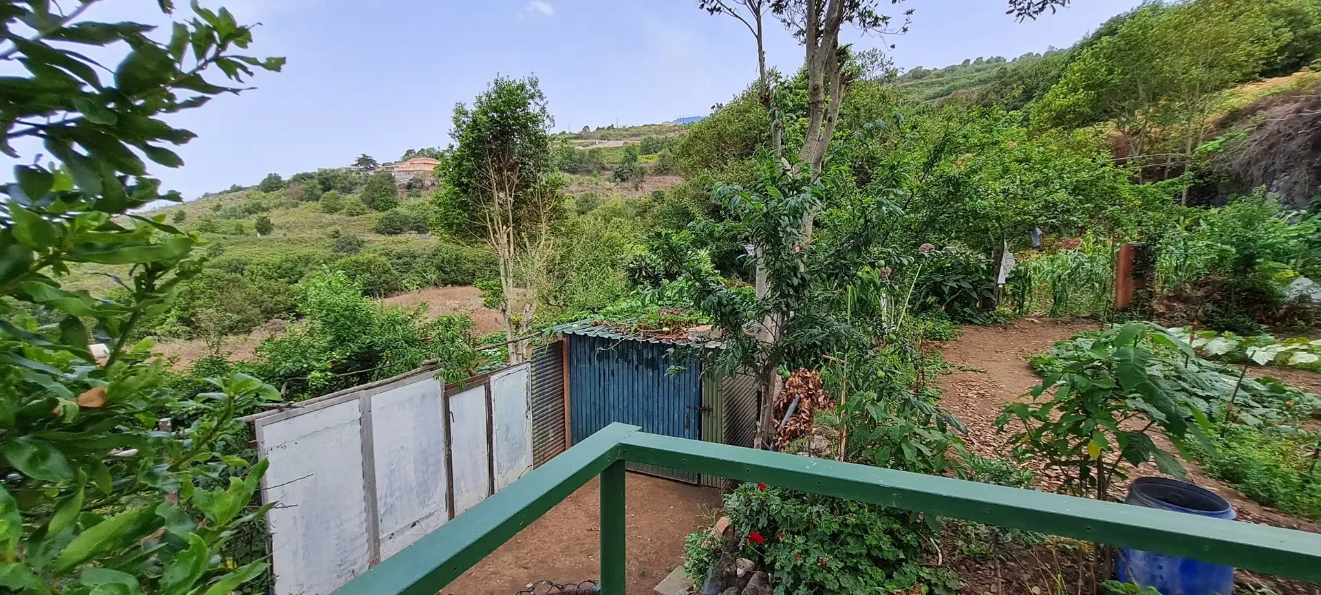 Finca rústica en venda a Icod de los Vinos pueblo