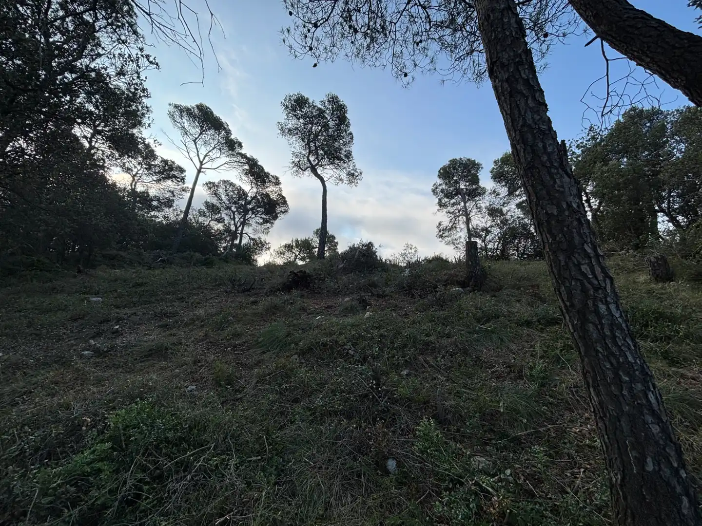 Residential land for sale in Carrer Pasarell, imagen 9