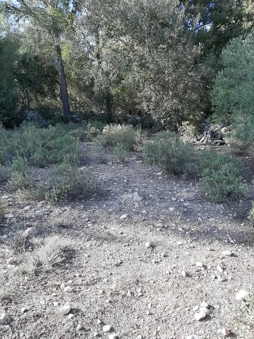 Terrain rustique à vendre à Sant Joan, imagen 5