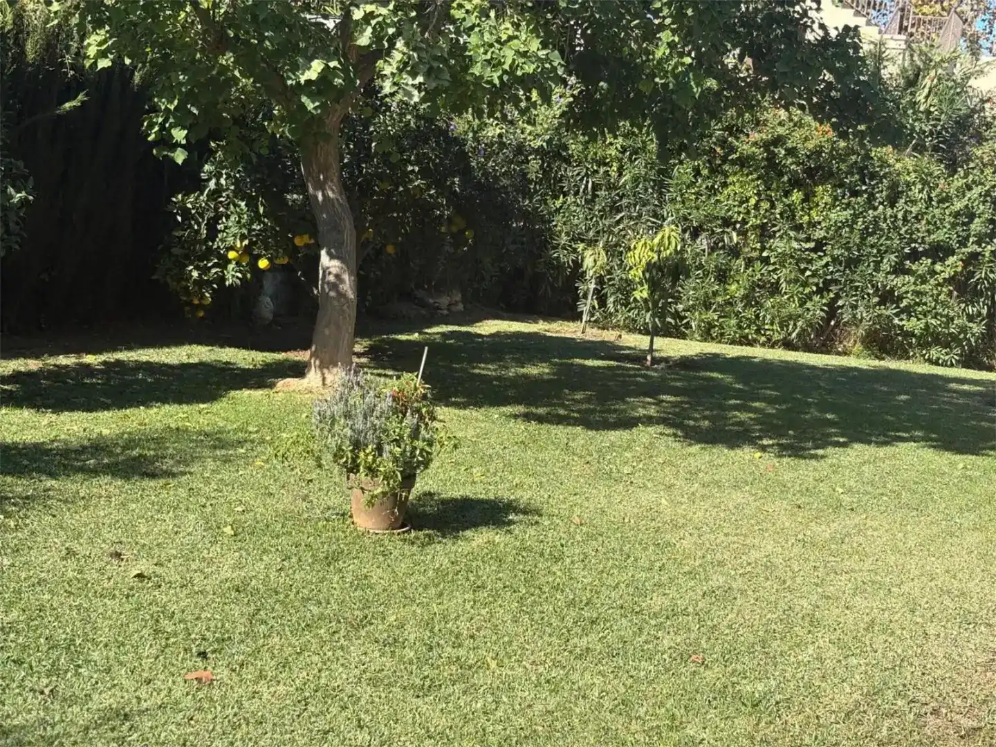 Garden of Houses for sale in Marbella  with Private garden, Storage room and Swimming Pool