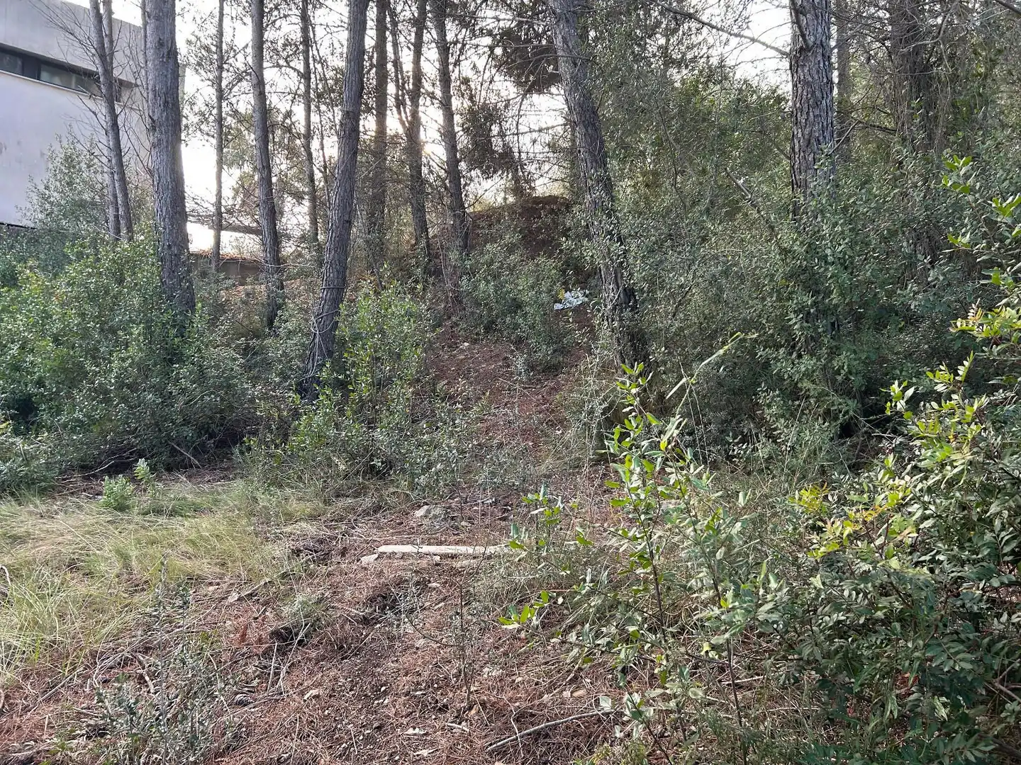 Rustikales Grundstück zum Verkauf in CAN FELIU, imagen 20
