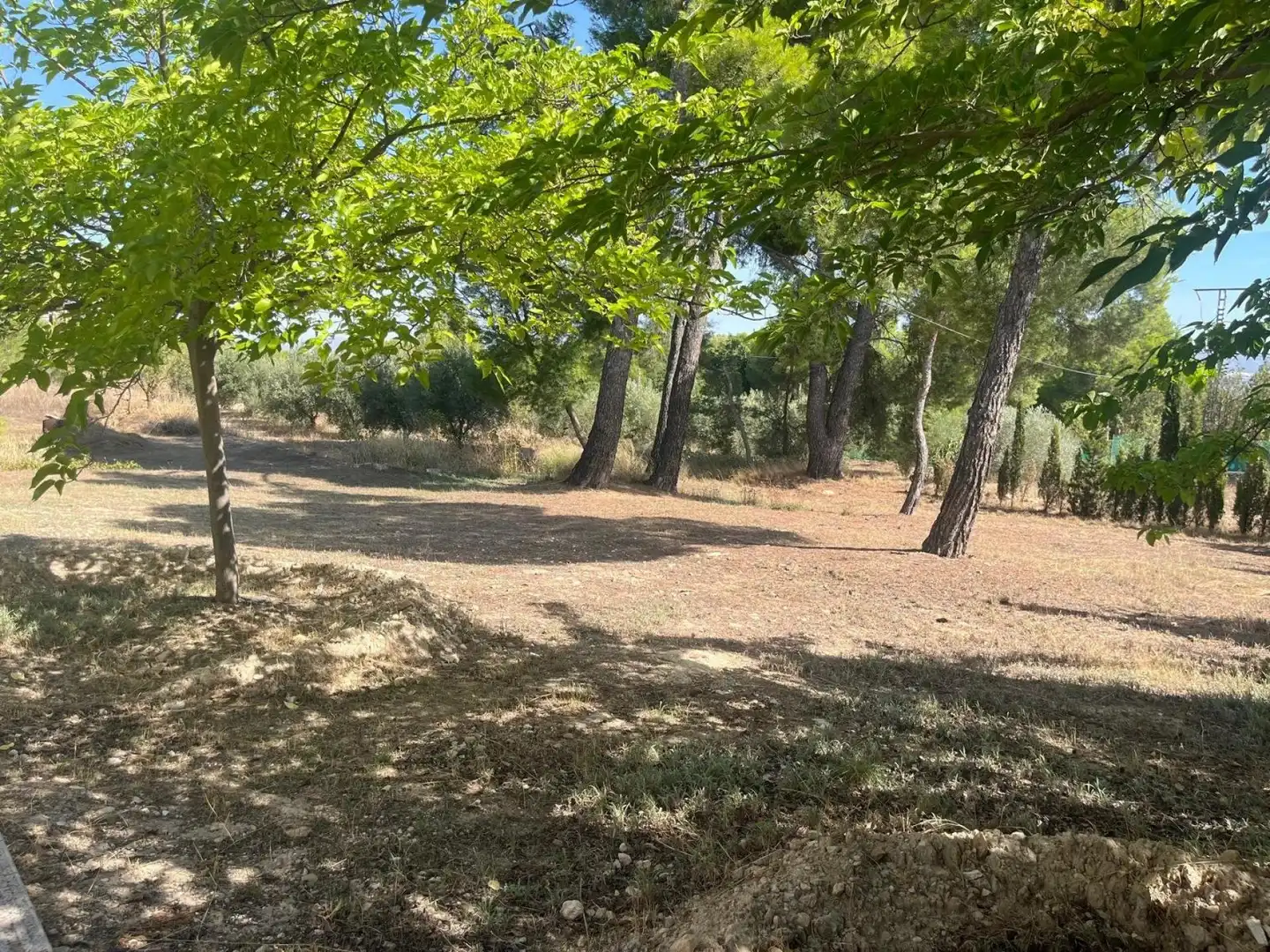 Country homes for sale in Almansa  with Heating, Swimming Pool and Furnished
