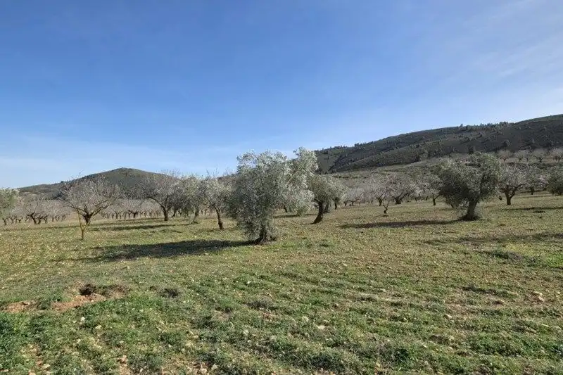Terreno rustico in vendita a El Valle, imagen 28