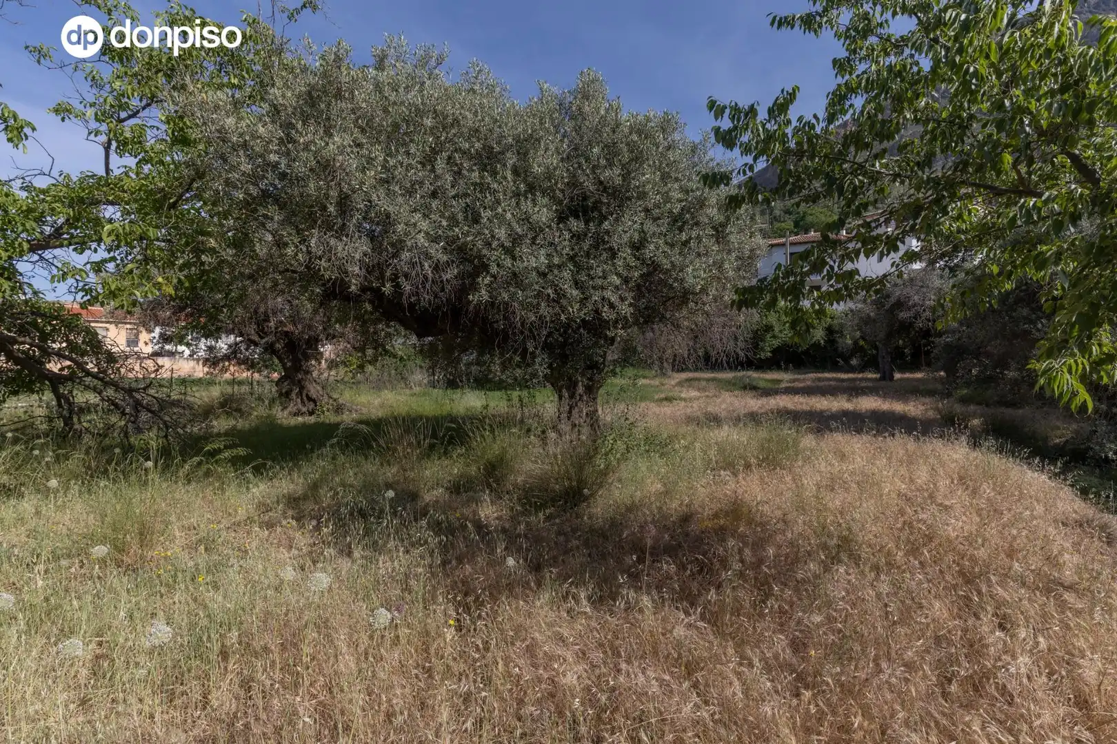 Lands and plots for sale in Carretera de Maitena, imagen 19