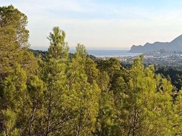 Wohnbaugrundstück zum Verkauf in Altea la Vella