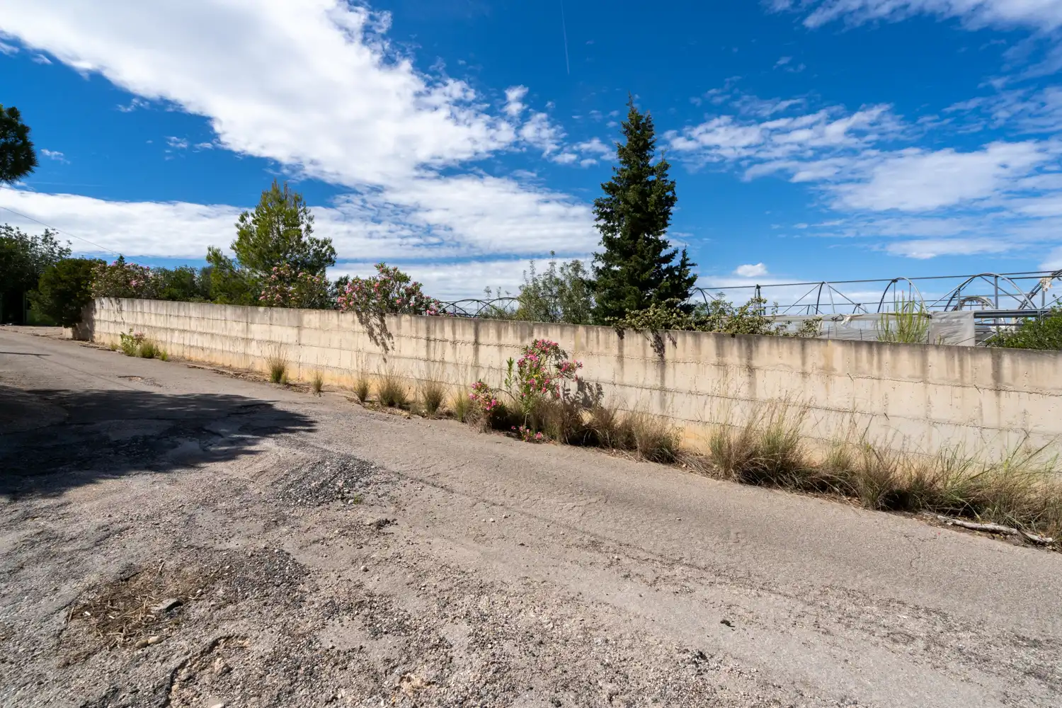 Rural land for sale in Camí del Barranc de Roé 94, imagen 12