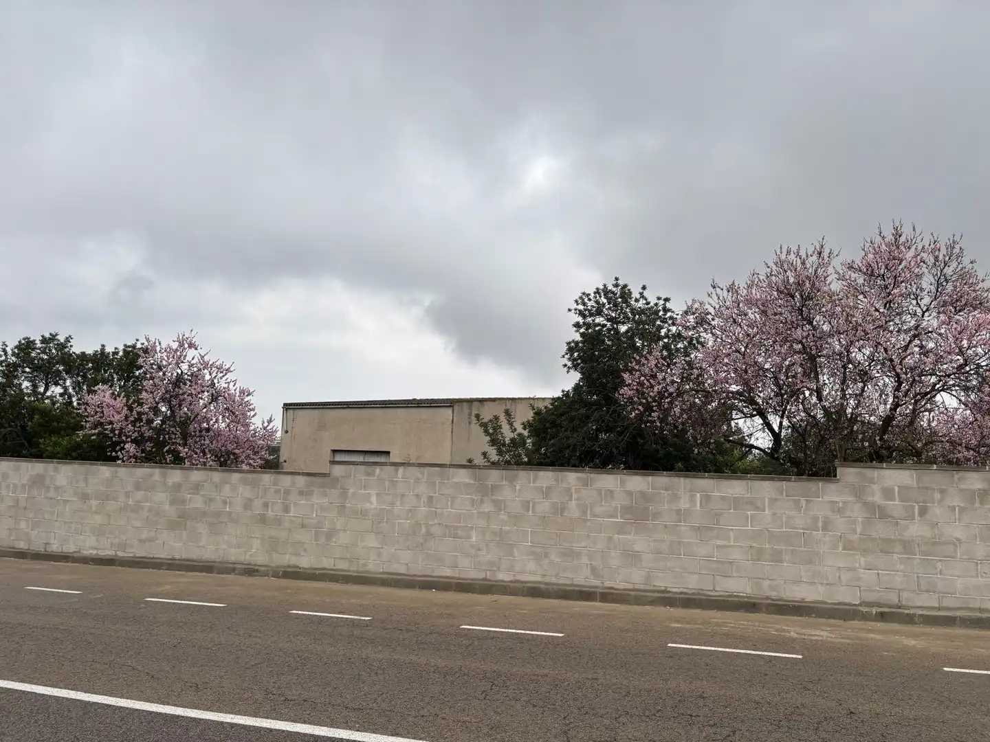 Exterior view of Country homes for sale in Santa Oliva