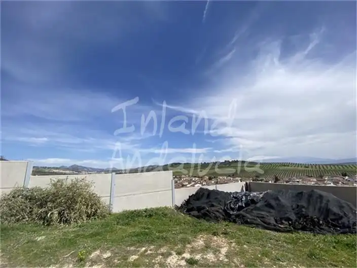 Terreni e lotti in vendita a Íllora, imagen 4