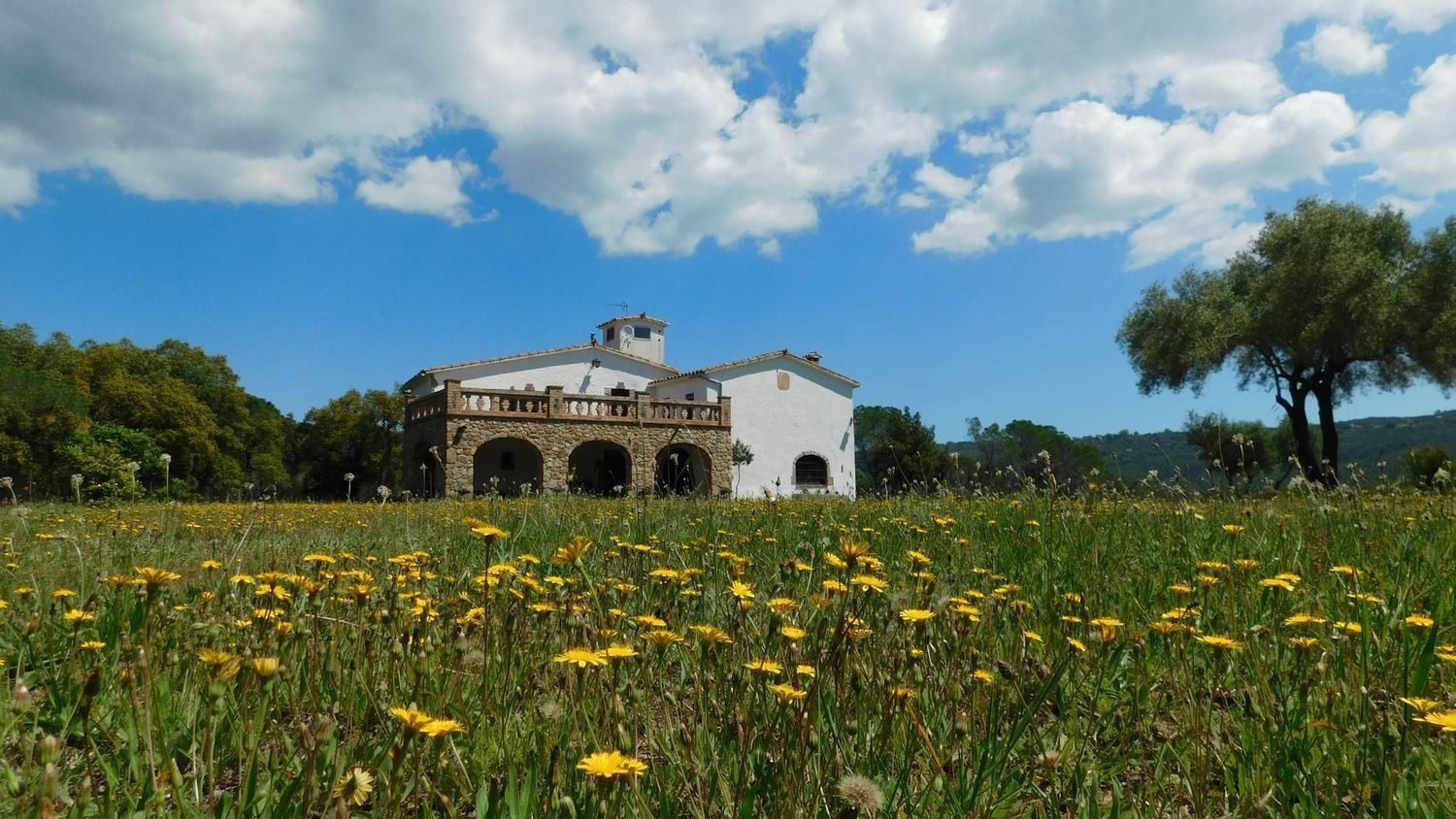 Exterior view of Country house for sale in Llagostera  with Storage room