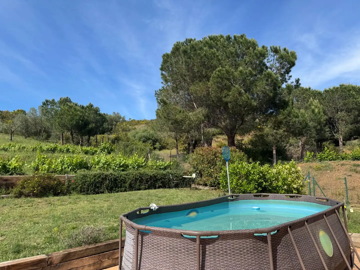 Jardí de Casa o xalet en venda en Llançà amb Aire condicionat, Calefacció i Jardí privat