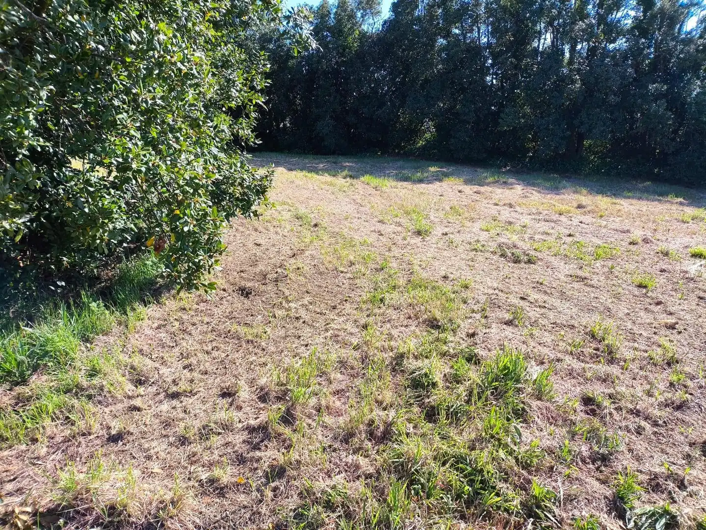 Terreni e lotti in vendita a Lugar PASACONDIA, imagen 15