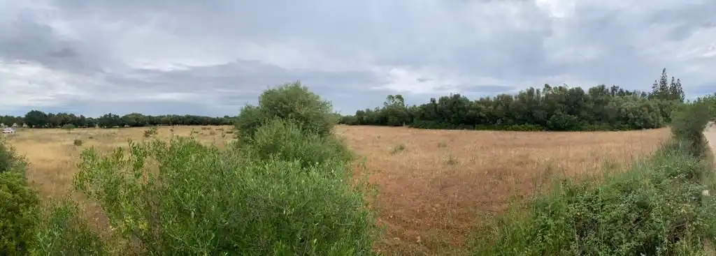 Lands and plots for sale in SON MESQUIDA, imagen 6