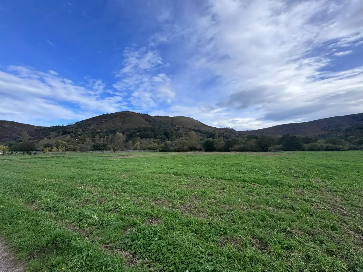 Rural land for sale in Ruente